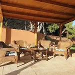 Oasis *