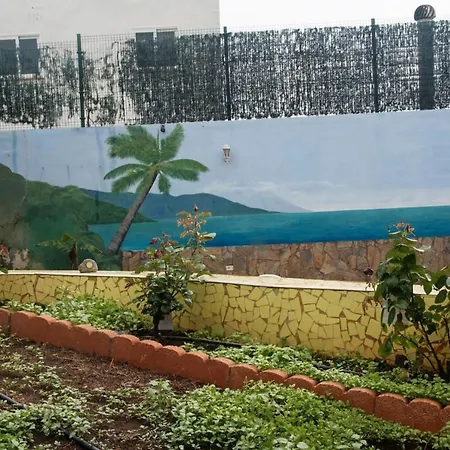 Oasis *