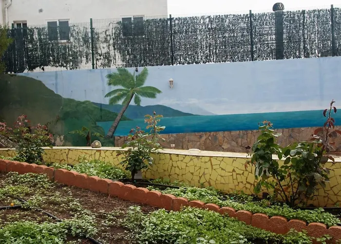 Oasis *