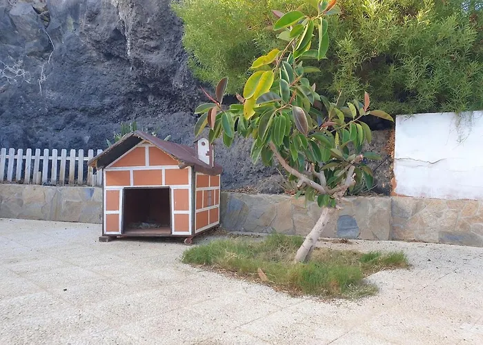Oasis *