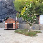 Oasis *